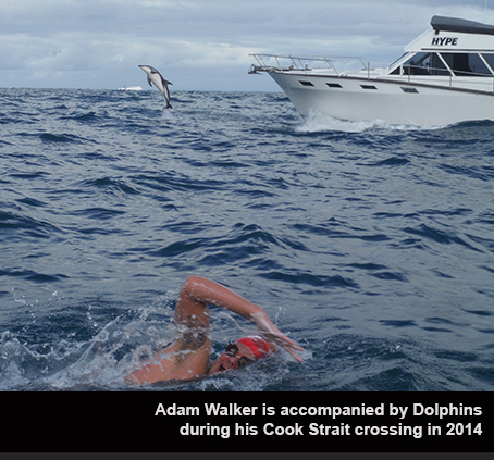 Adam Walker swims with Dolphins